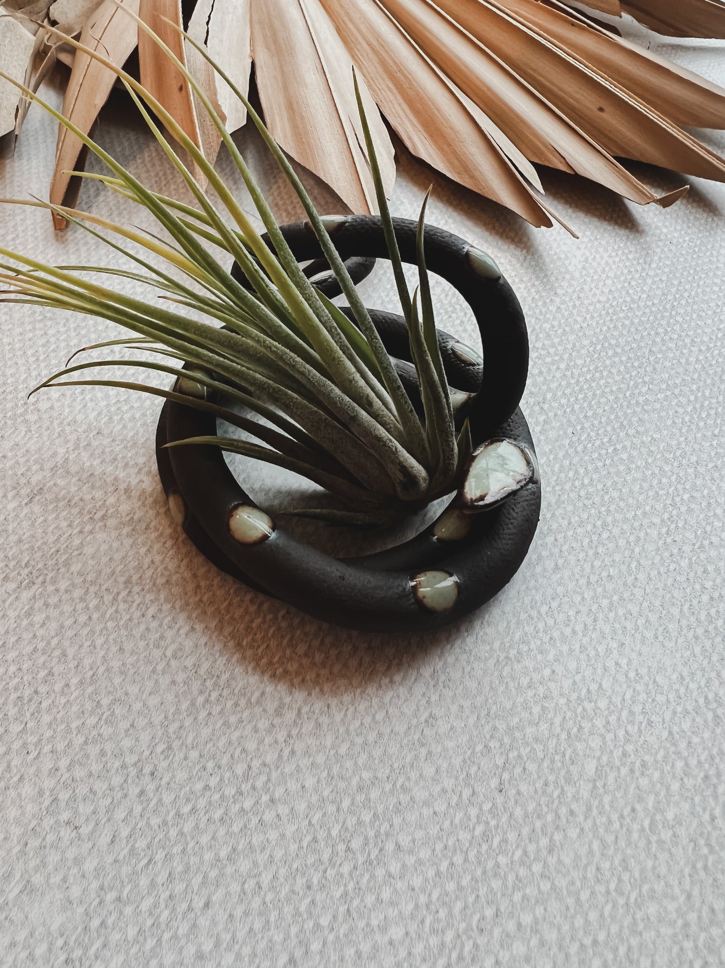 Carter & Rose Ceramic Snake Plant