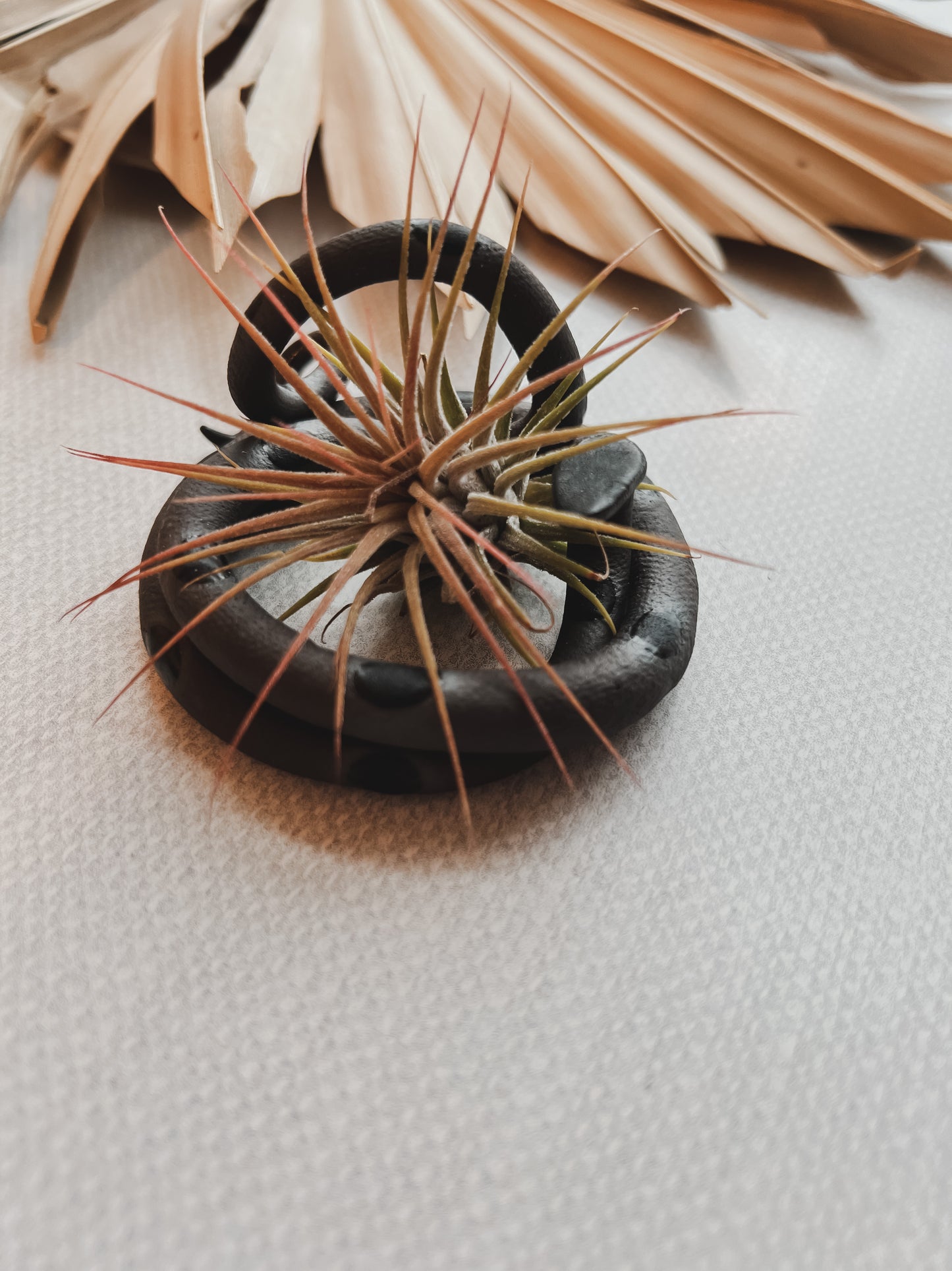 Carter & Rose Ceramic Snake Plant
