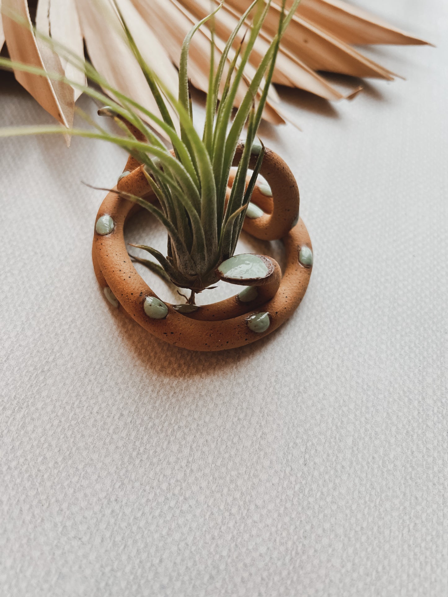 Carter & Rose Ceramic Snake Plant