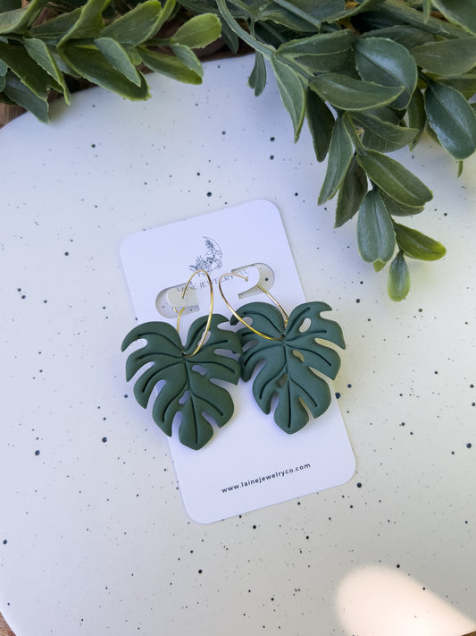 Monstera Dangles