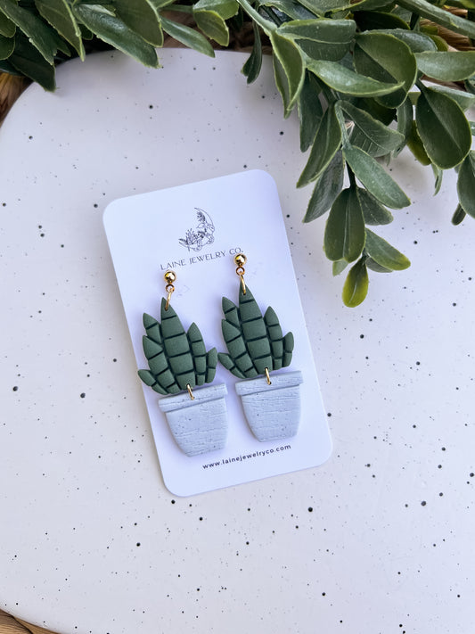 Snake Plant 1 Dangle