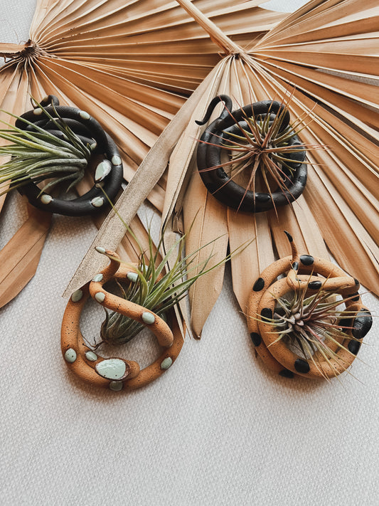 Carter & Rose Ceramic Snake Plant